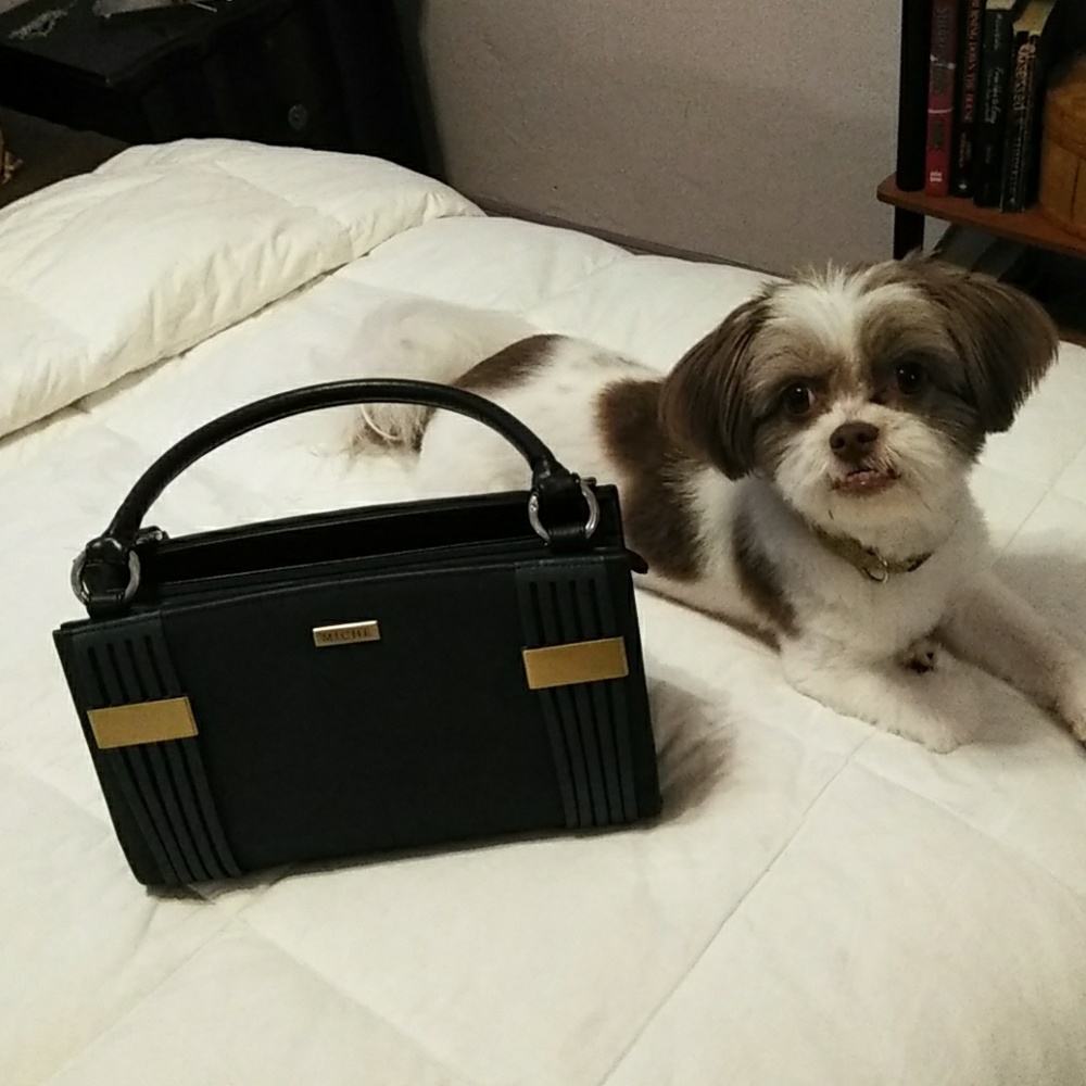 Bag